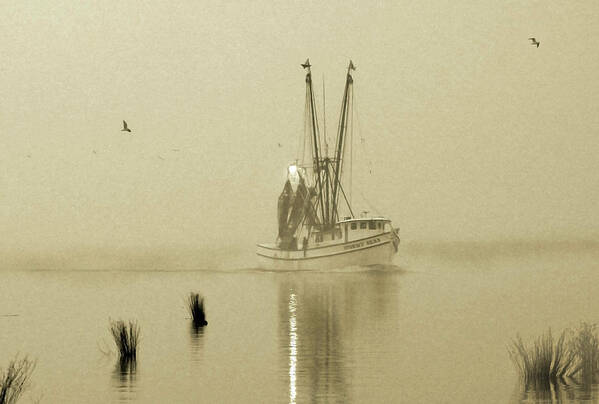 Photography Poster featuring the photograph Foggy Evening Catch by Deborah Smith