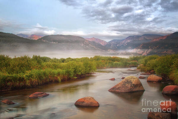 Rocky Mountain National Park Poster featuring the photograph Foggy Morning in Moraine Park by Ronda Kimbrow