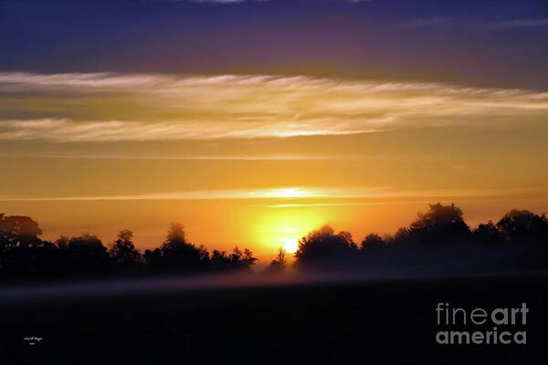 Nature Poster featuring the photograph Foggy Morning Sunrise by DB Hayes