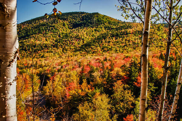 #fallfun Poster featuring the photograph Foliage View from Crawford Notch road by Jeff Folger