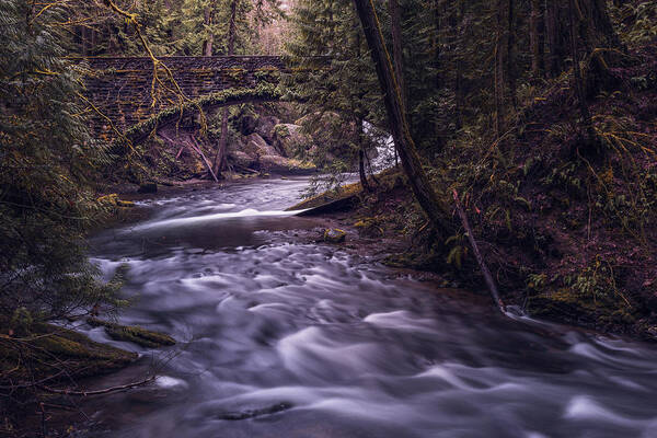 Waterfall Poster featuring the photograph Forrest Bridge by Chris McKenna