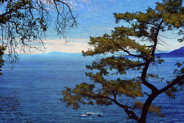 Pacific Coast Poster featuring the photograph Francis Point - View by Ed Hall