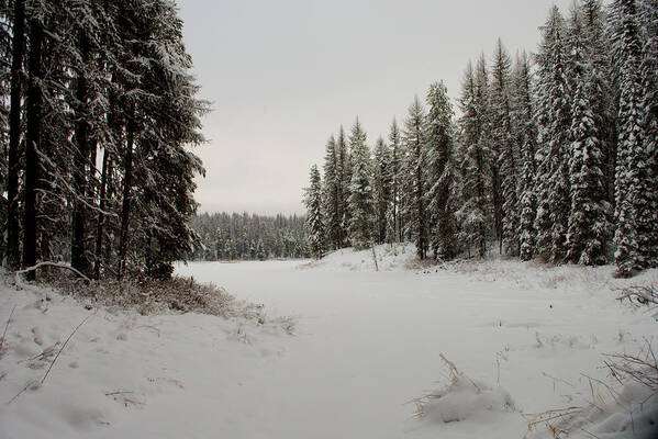 Frater Lake Poster featuring the photograph Frater Lake by Troy Stapek