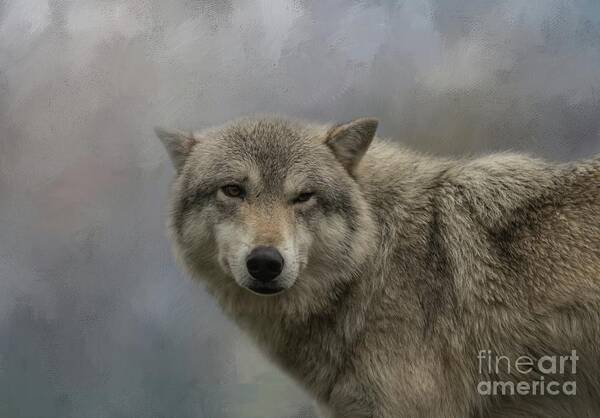 Alaskan Timber Wolf Poster featuring the photograph Friendly Wink by Eva Lechner