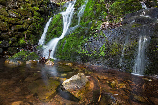 Nj Poster featuring the photograph Frog Falls by Sara Hudock