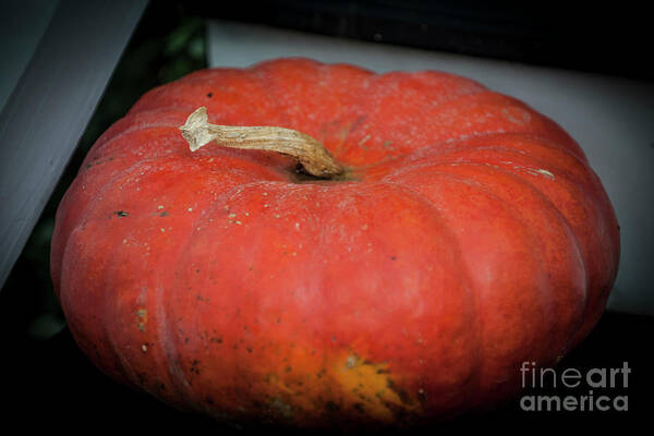 Pumpkin Poster featuring the photograph Front Porch Orange Pumpkin by Dale Powell