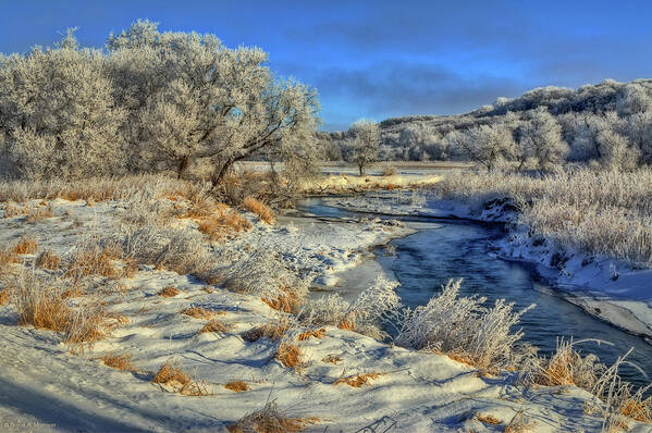 Winter Landscape Poster featuring the photograph Frost Along The Creek by Bruce Morrison