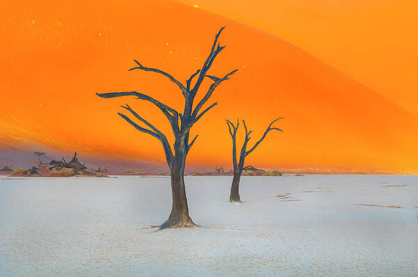 Deadvlei Poster featuring the photograph Frozen in time. by Usha Peddamatham