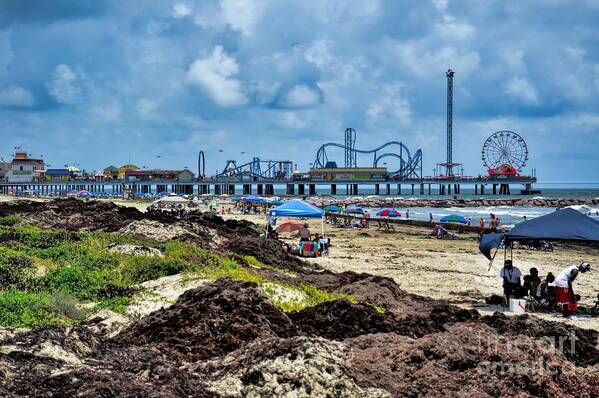 Landscape Poster featuring the photograph Fun on the Beach by Diana Mary Sharpton