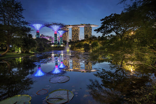 City Poster featuring the photograph Garden by the Bay, Singapore by Pradeep Raja Prints