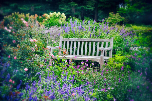 Nature Poster featuring the photograph Garden Gifts II by Jessica Jenney