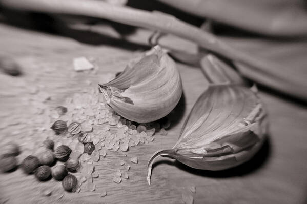 Food Poster featuring the photograph Garlic ready. by Elena Perelman