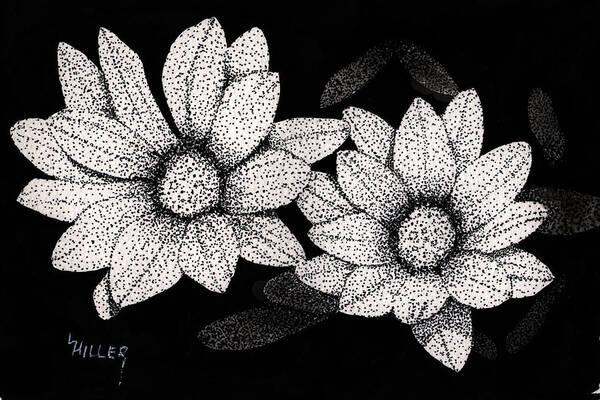 Pen And Ink Poster featuring the drawing Gerbera Daisies by Linda Hiller
