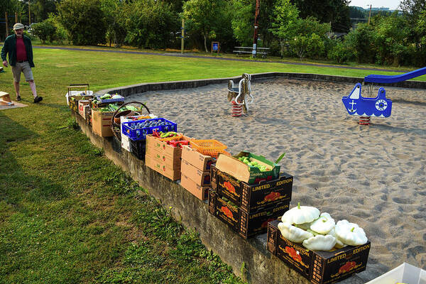 Farmers' Market Poster featuring the photograph Get The Corn by Tom Cochran