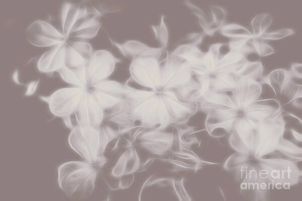 Ghost Poster featuring the digital art Ghost Flower - Souls in bloom by Jorgo Photography