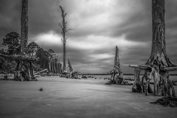 Coast Poster featuring the photograph Ghosts of Giants above the Sand - BW by Chris Bordeleau
