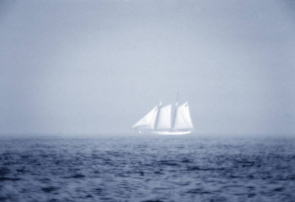 Sailing Poster featuring the photograph Ghost Ship by Frank Mari