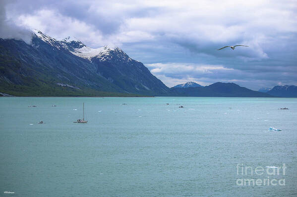 Glacier Bay National Park Poster featuring the photograph Glacier Bay Alaska Two by Veronica Batterson
