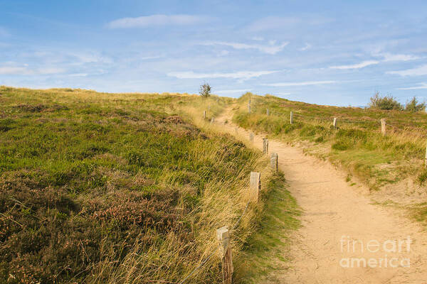 Landscape Poster featuring the photograph Go your own Way by Amanda Mohler