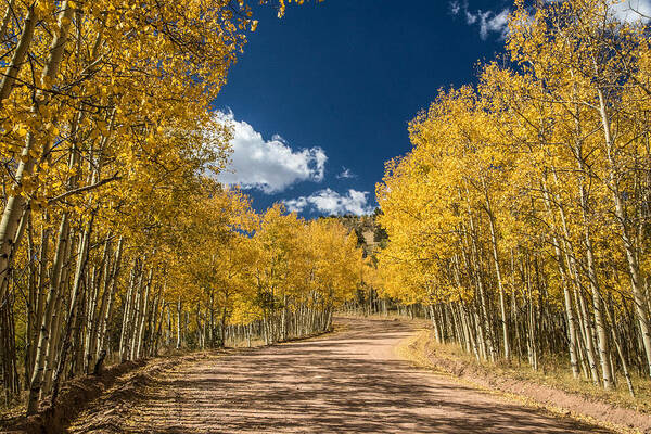 Colorado Poster featuring the photograph Gold Camp Road by Dawn Key