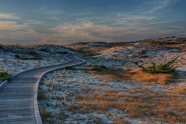 Asilomar Poster featuring the photograph Golden Dunes by Bill Roberts