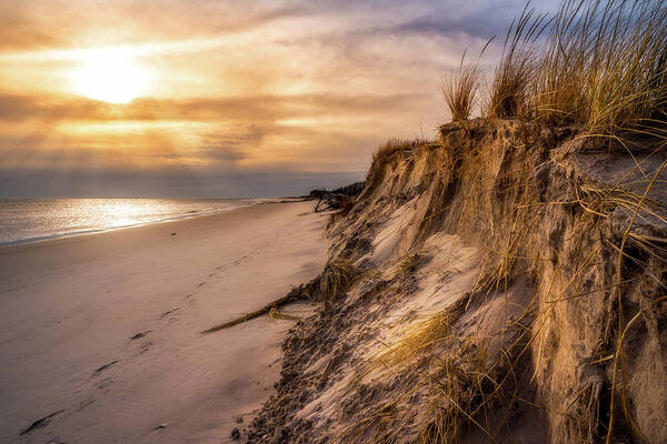 Beach Poster featuring the photograph Golden Erosion by John Randazzo