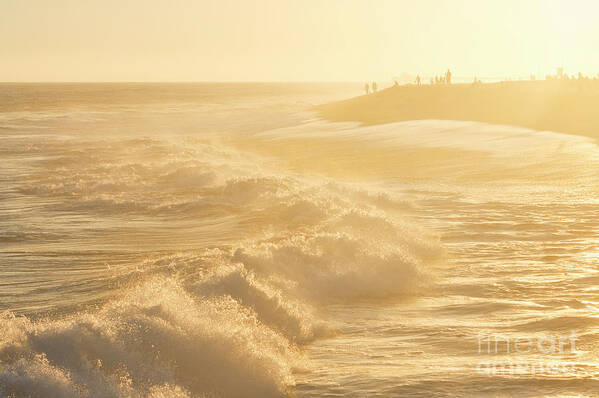 Golden Poster featuring the photograph Golden Hour At The Wedge by Eddie Yerkish