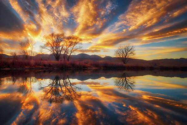 Colorado Poster featuring the photograph Golden Light on the Pond by Darren White