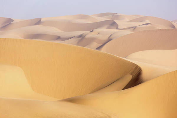 Namib Poster featuring the photograph Golden Ocean by Francesco Riccardo Iacomino