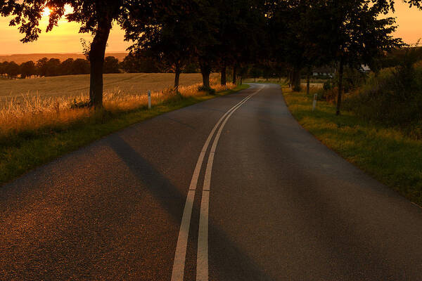 Golden Poster featuring the photograph Golden Road by Marcus Karlsson Sall