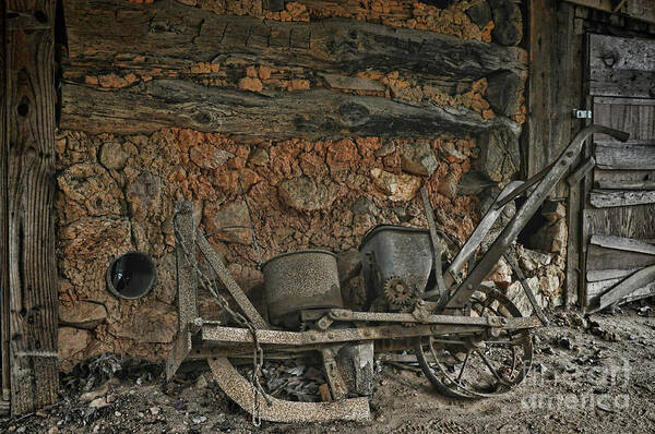 Barn Poster featuring the photograph Gone to Seed by Randy Rogers