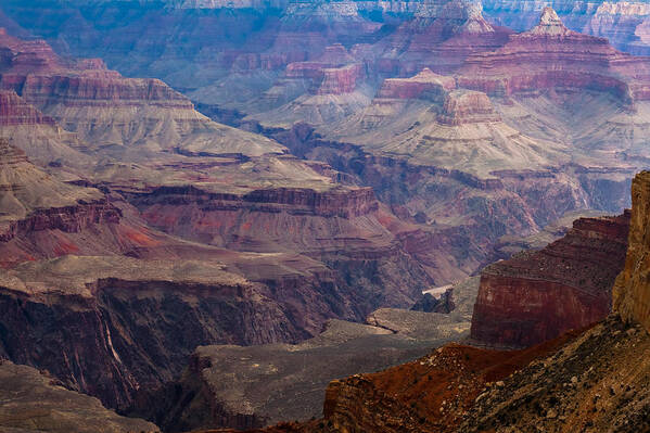 Arizona Poster featuring the photograph Gorges of the Grand Canyon by Ed Gleichman