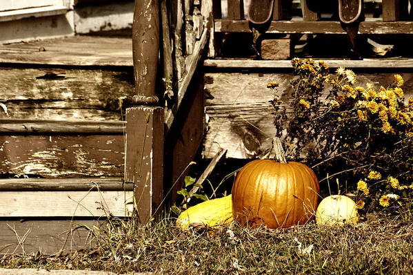 Pumpkin Poster featuring the photograph Gourding the Porch by Ross Powell
