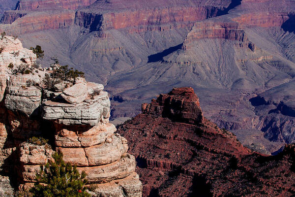 Grand Canyon National Park Poster featuring the photograph Grand Canyon 3 by Donna Corless