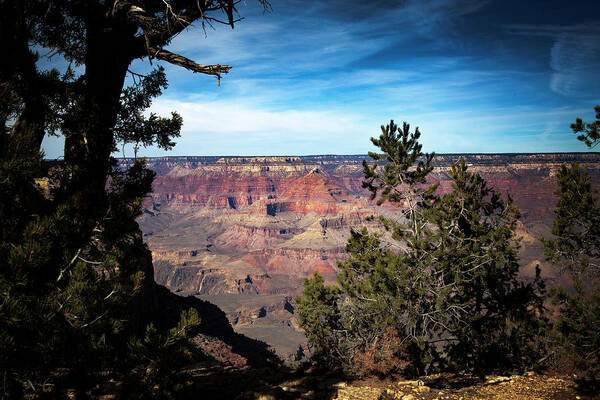 Grand Canyon Poster featuring the photograph Grand Canyon, Arizona USA by James Bethanis