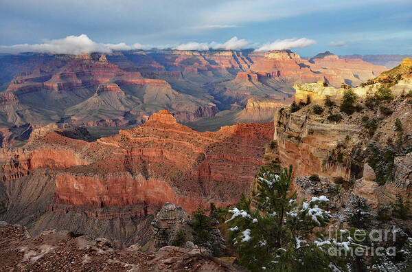 Dusk Poster featuring the photograph Grand Canyon View by Debby Pueschel