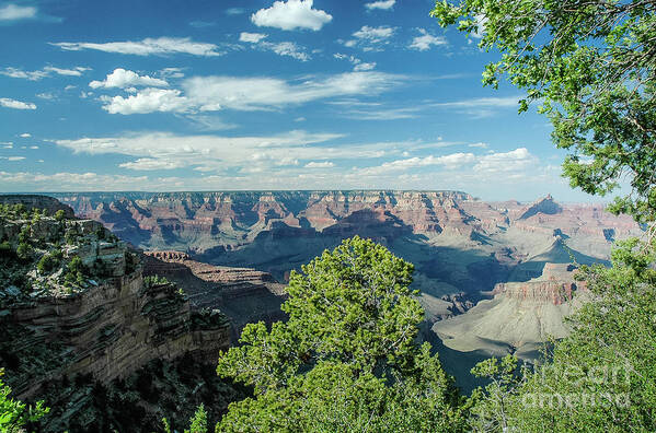 Sand Poster featuring the photograph Grand Landscape by Nick Boren