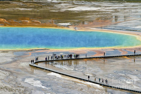 Grand Prismatic Spring Poster featuring the photograph Grand Prismatic Spring by Teresa Zieba