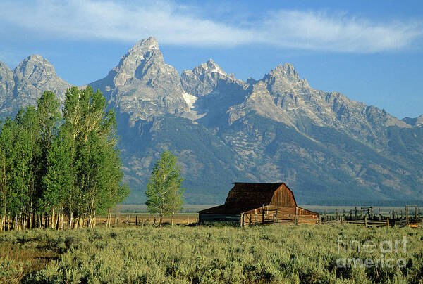 Barn Poster featuring the photograph Grand Teton National Park, Wyoming by Kevin Shields