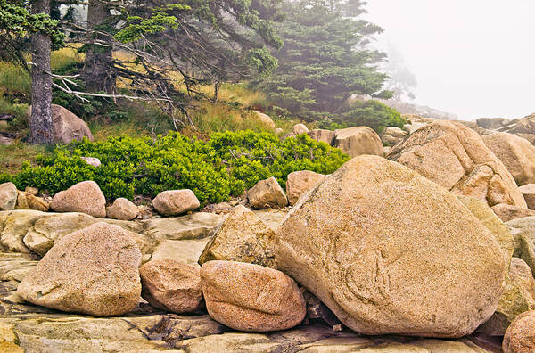 Rock Poster featuring the photograph Granite Boulders Acadia by Peter J Sucy