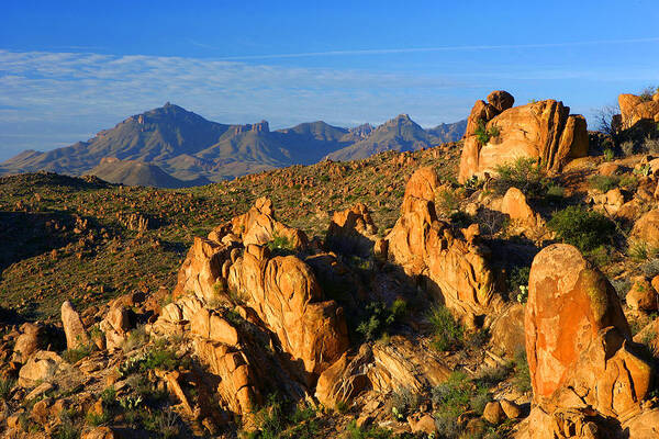 Texas Poster featuring the photograph Grapevine Hills by Eric Foltz