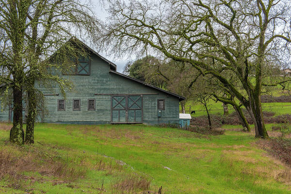 Auburn Poster featuring the photograph Green Barn #2 by Robin Mayoff