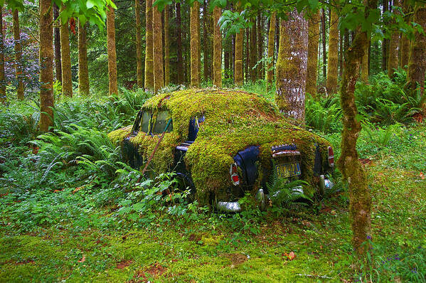 Green Car Poster featuring the photograph Green car by Ulrich Burkhalter