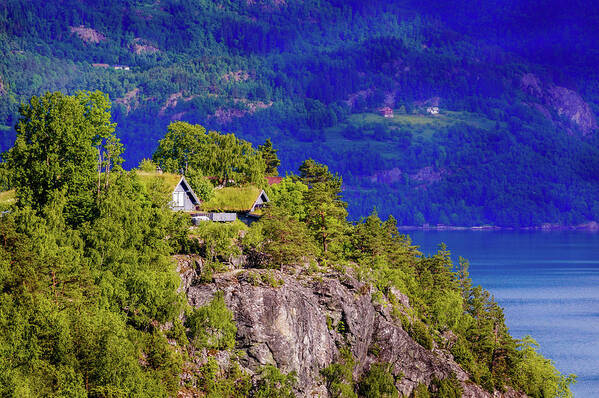 Europe Poster featuring the photograph Green roofs of Lustrafjorden by Dmytro Korol
