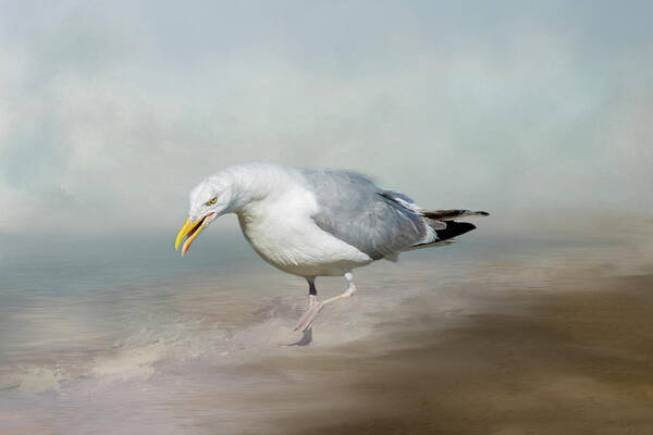 Gull Poster featuring the photograph Gull 3831 by Cathy Kovarik