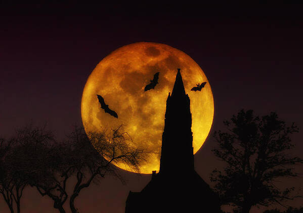 Halloween Poster featuring the photograph Halloween Moon by Bill Cannon