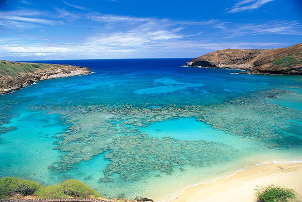 Above Poster featuring the photograph Hanauma Bay by Peter French - Printscapes