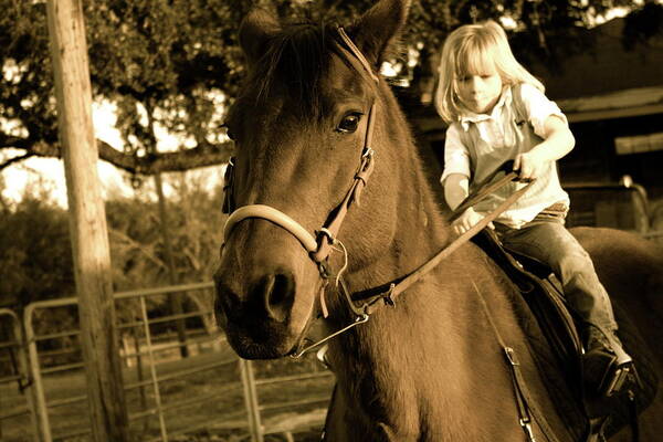 Horse Poster featuring the photograph Hard Work by Sherry Klander