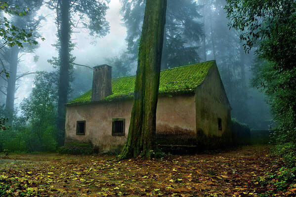 Jorgemaiaphotographer Poster featuring the photograph Haunted house by Jorge Maia