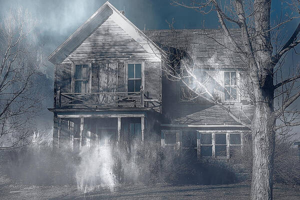 Haunted Poster featuring the photograph Haunted by Theresa Campbell